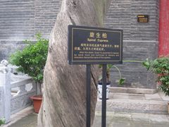 -关林