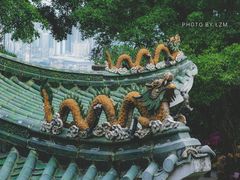 -广州市白云山风景名胜区