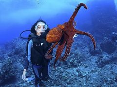 -沈阳海洋探索中心