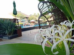 -厦门日月谷温泉渡假村