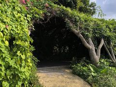 -广西壮族自治区药用植物园