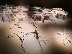 -洛阳周王城天子驾六博物馆