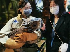 -侏罗纪世界电影特展(广州站)