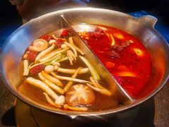鸳鸯锅-湊湊火锅·茶憩(新中关购物中心店)
