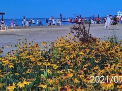 -东戴河风景区-止锚湾