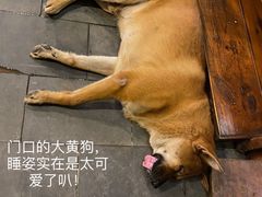-农厨好味·温泉鹅·农家菜