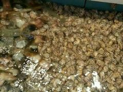 -宜宾海鲜酒家·三十年老字号