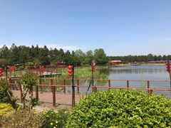 -东平国家森林公园
