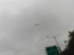 -鲨鱼皮汽车凹陷玻璃修复(静安店)