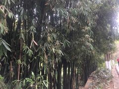 -黔灵山公园-南门售票处