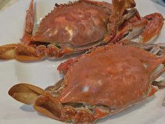 -日月昇渔家菜·海肠捞饭·大连海鲜(星海公园店)