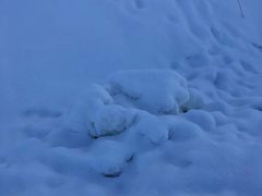 -鳌山滑雪度假区