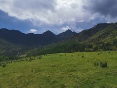 -硗碛藏寨·神木垒景区