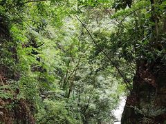 -溪口-滕头旅游景区