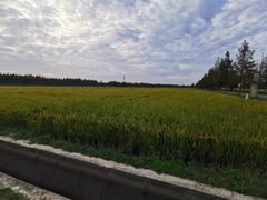-嘉北郊野公园
