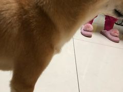 -乐宠宠物店(世纪金源店)