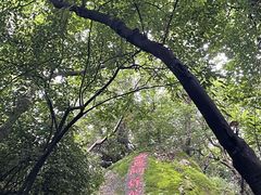 -灵岩山风景区