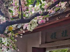 -深圳国际园林花卉博览园