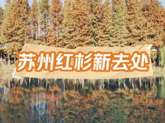 -阳澄湖半岛旅游度假区