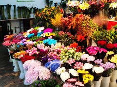 -双季花艺园艺市场(浦东店)