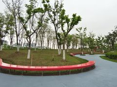 -春花秋色城市公园