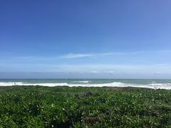 -龙坑生态保护区