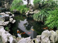 -莹珠阁·私房菜