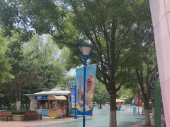 -沈阳方特欢乐世界