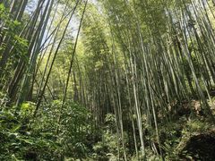 -九尺赵老四鲜鹅肠火锅