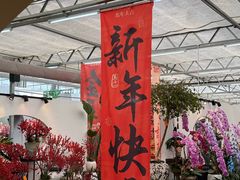 -荷兰花海