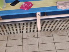 -小海豚国际游泳培训中心(浦东源深体育中心店)