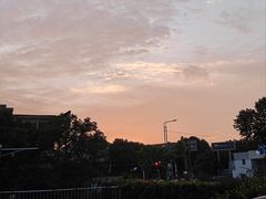 -牛New寿喜烧(金鹰世界店)