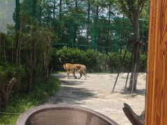 -上海野生动物园