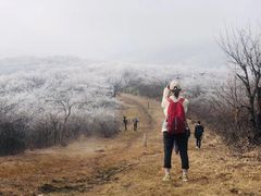 -安吉龙王山峡谷漂流
