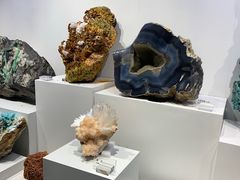 -一斗火锅·招财羊毛肚(北温泉九号店)