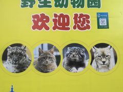 -青藏高原野生动物园