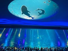 -上海海昌海洋公园