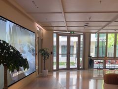 -观心实验室·心理咨询(上海旗舰店)