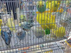 -三旗百汇商品城