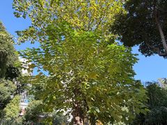 -沪东工人文化宫