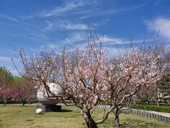 -南长河公园