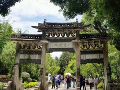 -蝴蝶泉公园