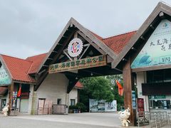 -上海海湾国家森林公园