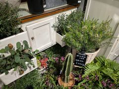 -弗劳尔花艺坊(龙涛店)