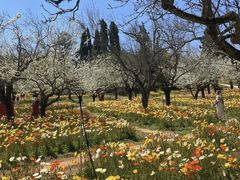 -名花谷生态庄园