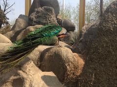 -临沂动植物园