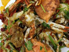 -烁佳海鲜大馅饺子
