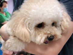 -申普宠物医院·眼科·心内科·影像科(普陀分院)