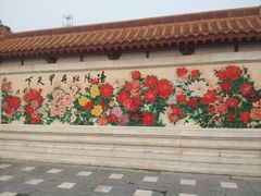 android_upload_pic-神州牡丹园