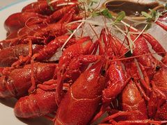 -杨氏青龙虾·羊蝎子(金盛路总店)